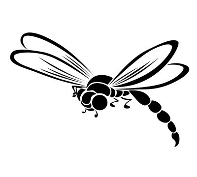 Black dragonfly stylized silhouette on white background, isolate copy raster
