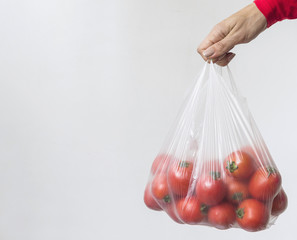 Hand holding plastic bag with fresh tomatoes. Image with copy space, selective focus.