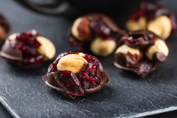 Hazelnut and cranberries in chocolate