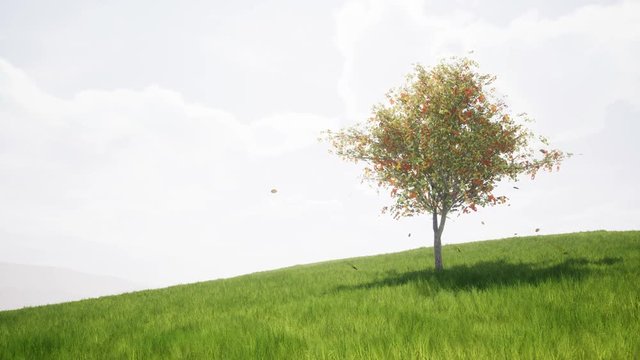 Singl autumn tree on a green meadow