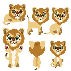 Little lion cub in front, back, sitting, standing and lying. Vector illustration in cartoon style on white background for animation, games, veterinary projects, childrens books and other design needs
