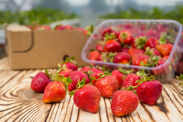 Boxes of strawberries in farmer market. Crates full of fragaria.Strawberries boxes baskets texture in outdoor market,set in a box of strawberries before eating,