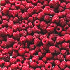 Raspberry, fresh and juicy berries - harvest