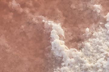 detail of red Salt lake - Camarque, France