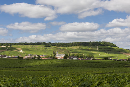 Oger in Champagne District