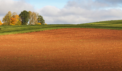 Country landscape with field.