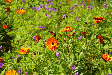 Schloss Garten - Glenveagh National Park