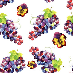 Watercolor grape