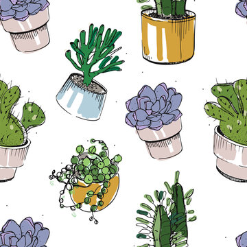 Seamless pattern with hand drawn succulents and cactus in pots