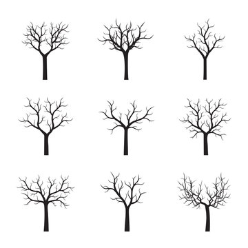 Set of black Trees without Leaves. Vector Illustration.