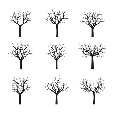 Set of black Trees without Leaves. Vector Illustration.