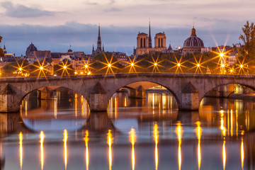 Fototapeta na wymiar Pont Royal Paris