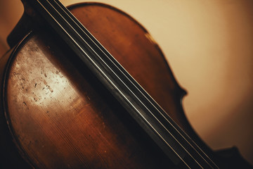 Details of an Old Cello