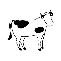 cow animal farm agriculture side view vector illustration