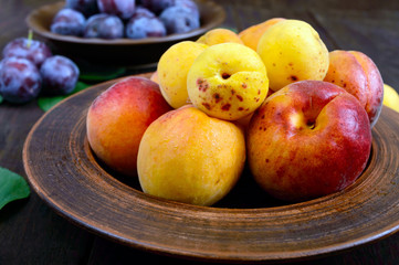 Ripe plums and apricots in ceramic bowls on a dark wooden background.
