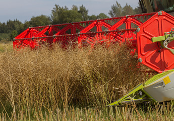  Big combine is working on a field.