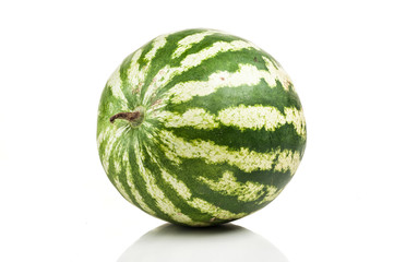 watermelon standing isolated on white background