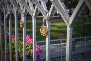 Fototapeta premium Lock