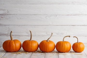 Orange halloween pumpkins on white planks, holiday decoration