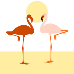 flamingo vector illustration flat style