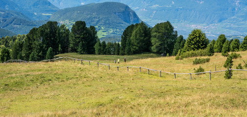 Amazing mountains summer landscape in Dolomites, South Tyrol, Italy. The Oclini Pass