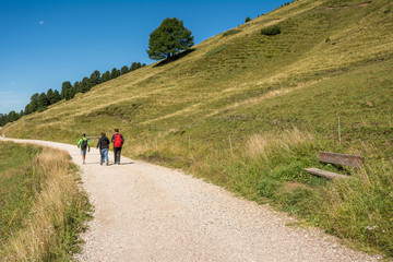 travelers walking on a trail in Dolomites Mountains, South Tyrolo, Italy