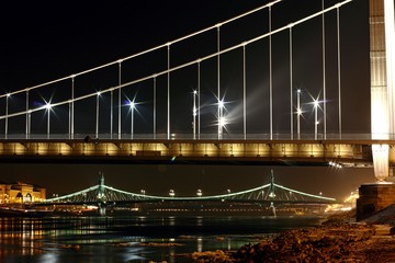 Elizabeth bridge and Liberty bridge at night in Budapest.