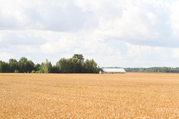 Country landscape farm view.