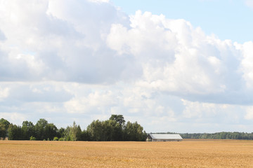 Obraz premium Farmside house on a cloudy day.
