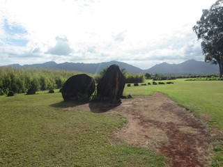 クロニカコ・バース・ストーン