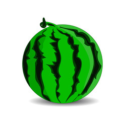 Ripe green watermelon, cartoon on a white background.vector