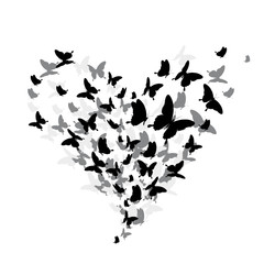 Fototapeta na wymiar black butterfly, heart, isolated on a white