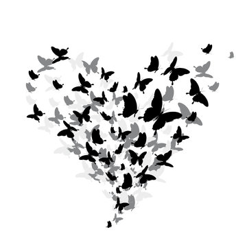black butterfly, heart, isolated on a white