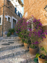Fototapeta na wymiar Blumentöpfe vor den Häusern eines kleinen spanischen Ortes