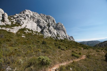 La serre de Vingrau