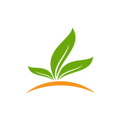 organic leaf logo template