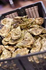 huîtres
