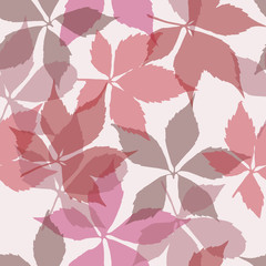 Seamless pattern with falling leaves. Background with autumn virginia creeper leaves. 