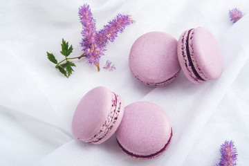 Purple macarons with BlackBerry. French delicate dessert for Breakfast