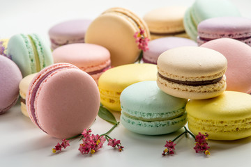 Colorful macarons with leaves and red flowers on a white background. French delicate dessert