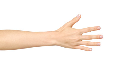 Woman's stretched hand with open palm