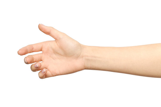 Woman's hand ready for handshaking