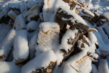 firewood under the snow
