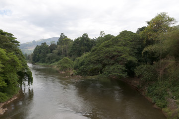 Obraz premium River in Royal Botanical Gardens, Peradeniya
