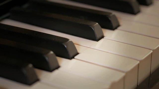 Closeup on piano keys. 