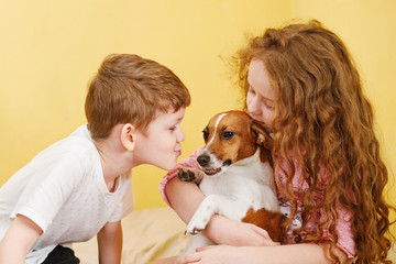 Children kissing a puppy jack russell dog.