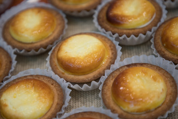 hokkaido cheese tart