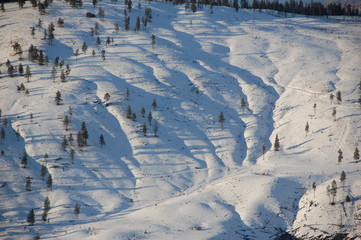 Obraz premium shadows in snow