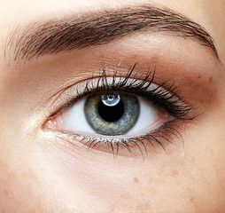 Closeup macro portrait of female face. Human girl eye with day beauty makeup. Woman with perfect...