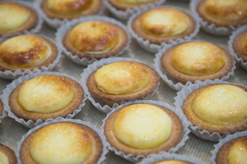 hokkaido cheese tart